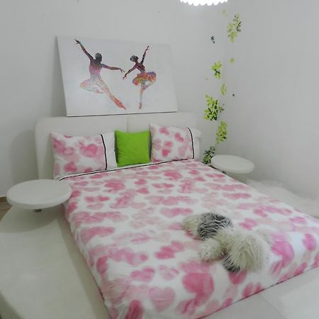 Alexsea Apartment ハイファ エクステリア 写真
